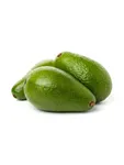 Fuertes Avocado | Freshly Harvested & Organic