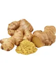 Ginger