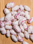 Fresh beans/kg