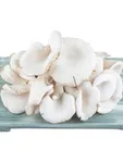 Mushrooms