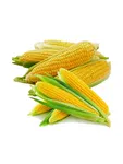Fresh, Sweet Baby Corn