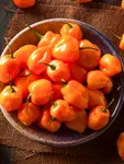Yellow Habanero