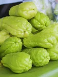 Chayote