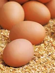 Brown eggs