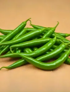 Green Chili kg