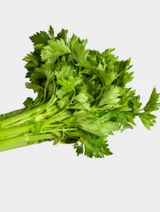 Celery