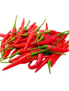 Red Bird Eye Chilli