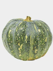 Green Squash Pumpkins - 1 piece