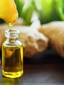 Ginger Oil