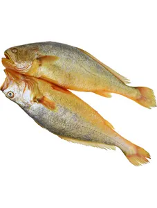 Kufadhi/ Croaker/ Kg