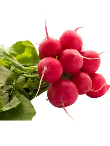 Red Radish - Bunch