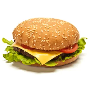 Cheese Burger Plain