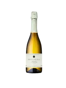 PINTANEGRA SPARKLING 75 CL