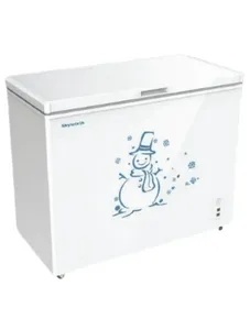 SkyWorth 260 Liter  Capacity Deep Freezer (BD-260)