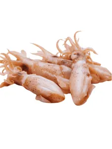 Squid/ Calamari 1 Kg