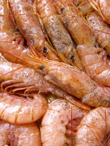 Hot K Prawns 6/10 /kg