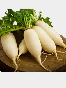 White Radish - 1kg
