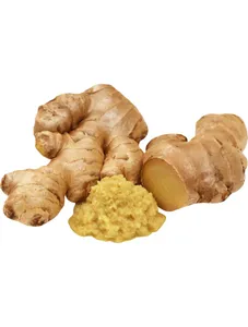 Ginger