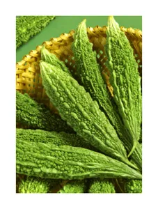 Flesh Karella (Bitter Gourd)
