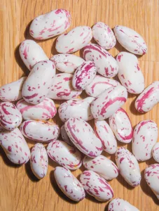 Fresh beans/kg