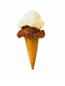 Double Scoop Ice Cream
