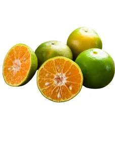 Orange Tangerine - 1kg