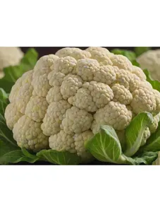Cauliflower