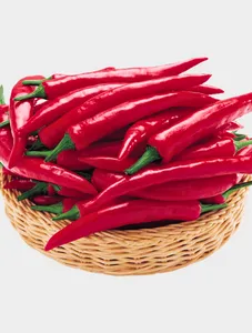 Fresh Cayenne Pepper - 1 Kg