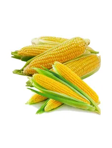 Fresh, Sweet Baby Corn