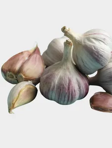 Unpeeled Garlic