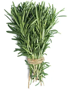 Rosemary