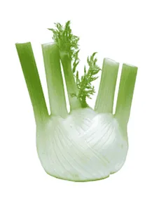 Fennel - 1kg