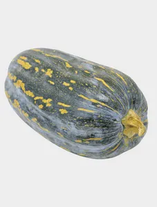 Long Stripped Squash Pumpkins / pc
