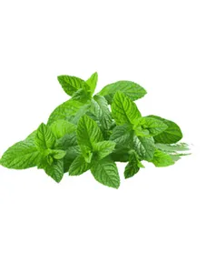 Mint - 1kg