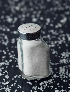 Salt/Spices Shaker Container