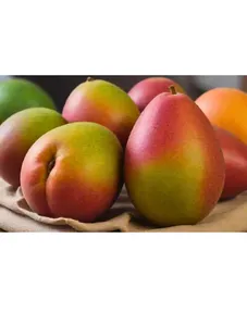 Burundian mango - 1kg