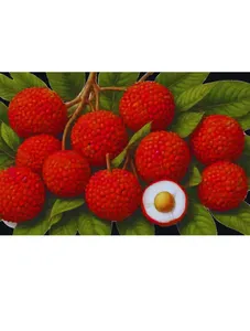 Litchi