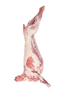 Whole Lamb Carcass