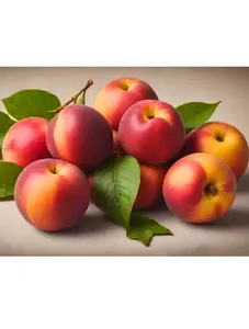 Nectarines
