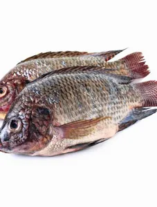Fish Tilapia ,1kg