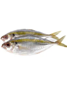 Yellow Tail Scad per Kg
