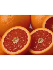 Grape fruits kg