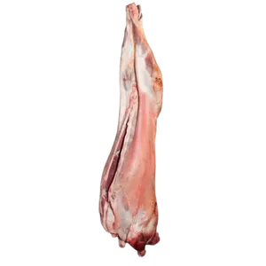 Farm Goat Whole Carcass