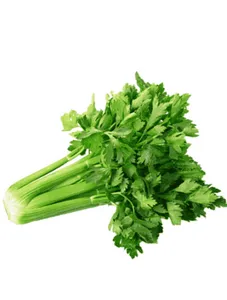 Celery