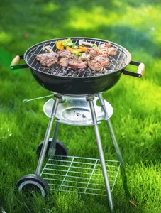 Barbecue Grill BBQ Small