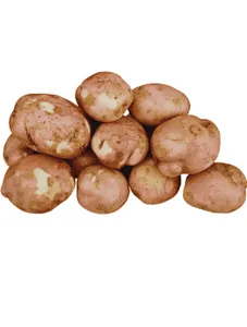 Irish Potato Kinigi - 1kg
