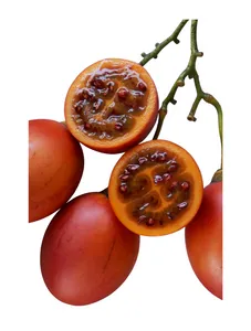 Tree Tomatoes( Ibinyomoro)