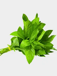 Fresh Mint Leaves