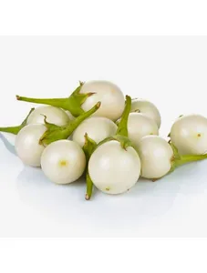 White Eggplant