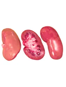 Pork Kidney